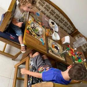 Vale a pena comprar um assento de elevação para meu filho? - Minidini