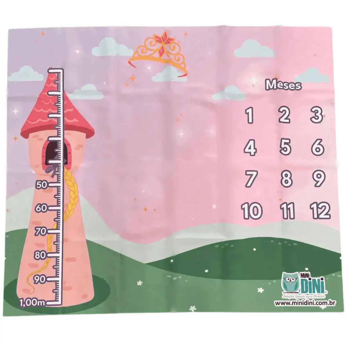 TAPETE MESVERSÁRIO - Fotografe mês a mês e acompanhe o crescimento do bebê - Minidini