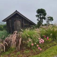 Um lugar onde até os dias cinzas ficam lindos