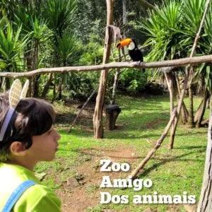 Um zoo amigo dos animais - Minidini